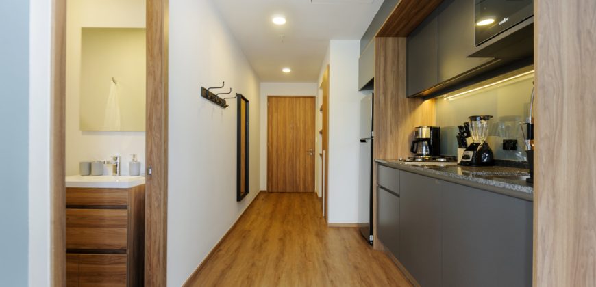Pet friendly Furnished 1BR Rental in Mexico City