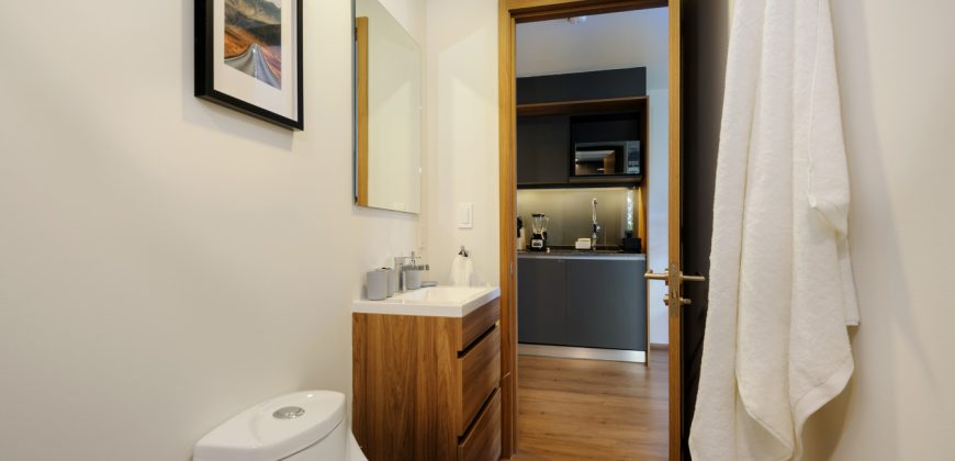 Pet friendly Furnished 1BR Rental in Mexico City