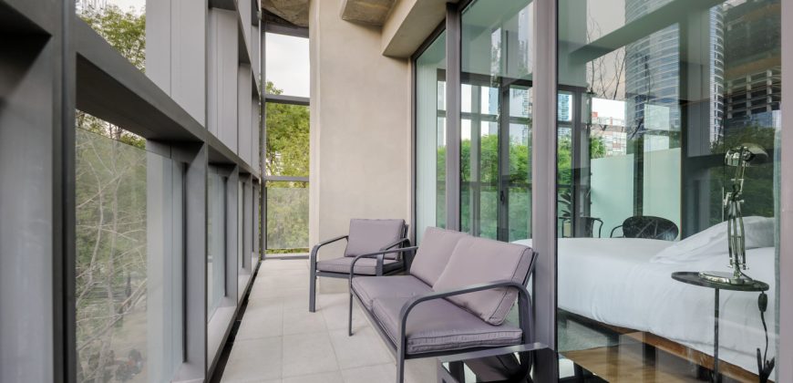 Pet friendly Furnished 1BR Rental in Mexico City