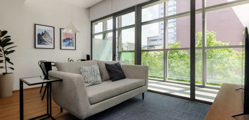 Pet friendly Furnished 1BR Rental in Mexico City