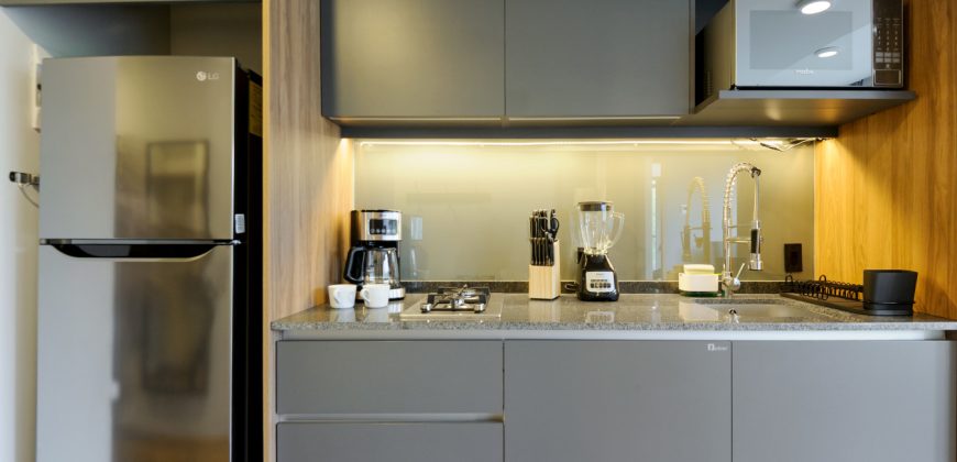 Pet friendly Furnished 1BR Rental in Mexico City