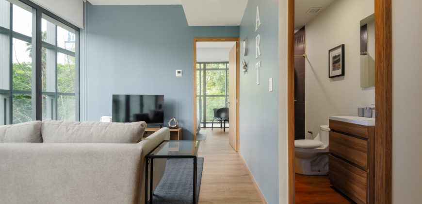 Pet friendly Furnished 1BR Rental in Mexico City
