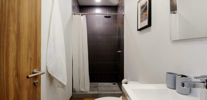 Pet friendly Furnished 1BR Rental in Mexico City