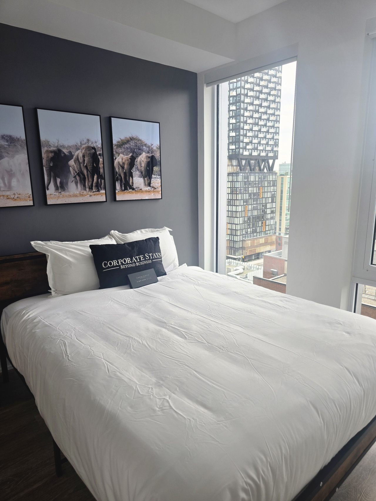 Fully furnished Rental in Elm-Ledbury Toronto – 1 Bedroom