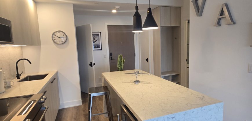 Elm-Ledbury 1 Bedroom Rental in Toronto | Corporate Stays Elm-Ledbury 1 Bedroom Rental in Toronto | Corporate Stays