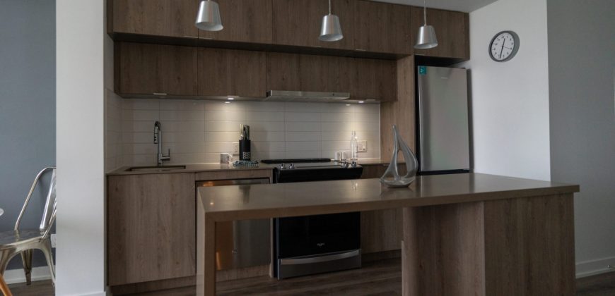 Fully Furnished One Bedroom apartment in the heart of North York