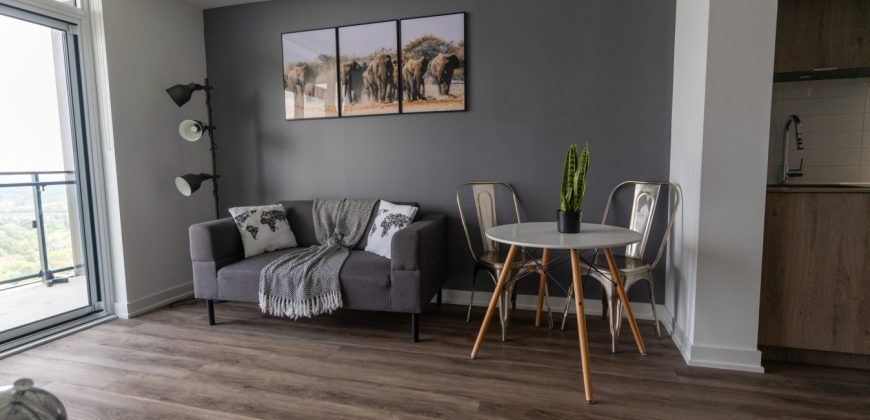 Fully Furnished One Bedroom apartment in the heart of North York