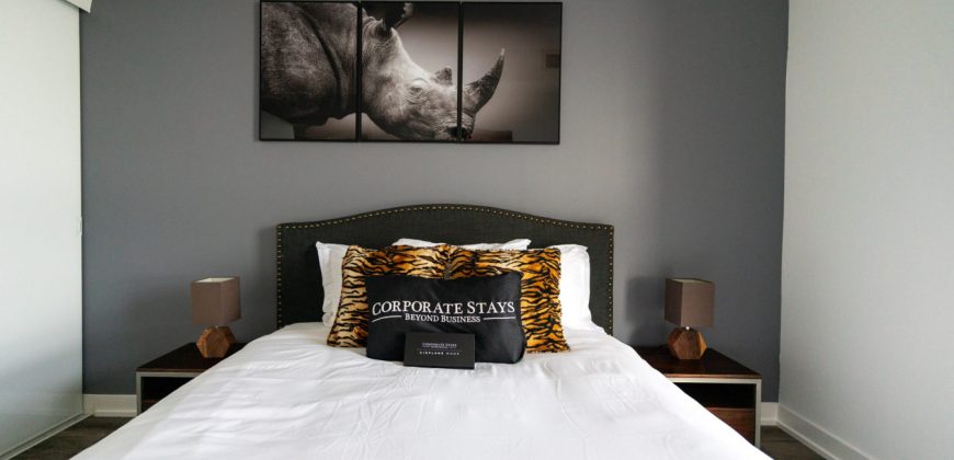 Pet friendly One Bedroom Apartment in Toronto