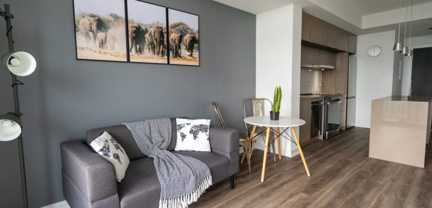 Stylished and Fully furnished 2BR in Toronto