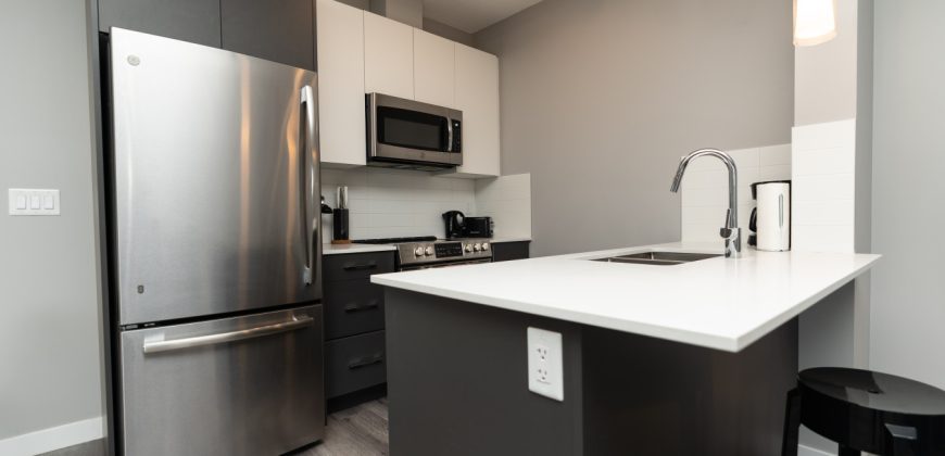 Edmonton 1 Bedroom Apartment Edmonton 1 Bedroom Apartment