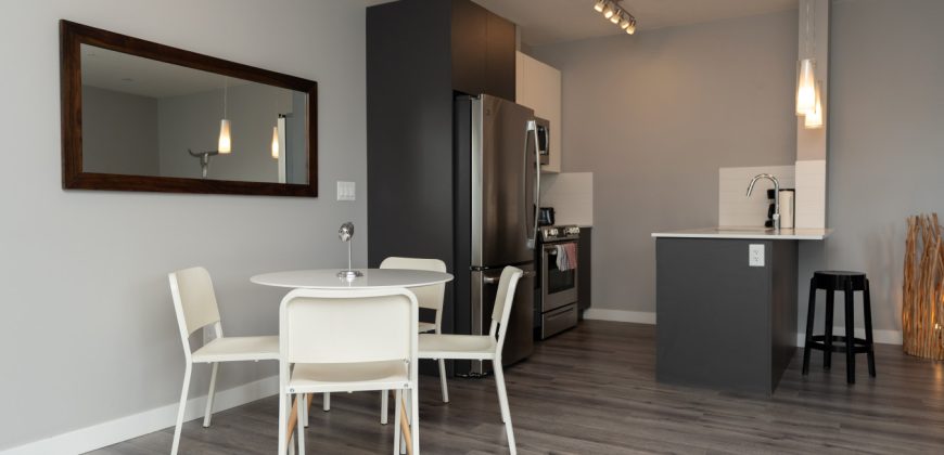 Edmonton 1 Bedroom Apartment Edmonton 1 Bedroom Apartment