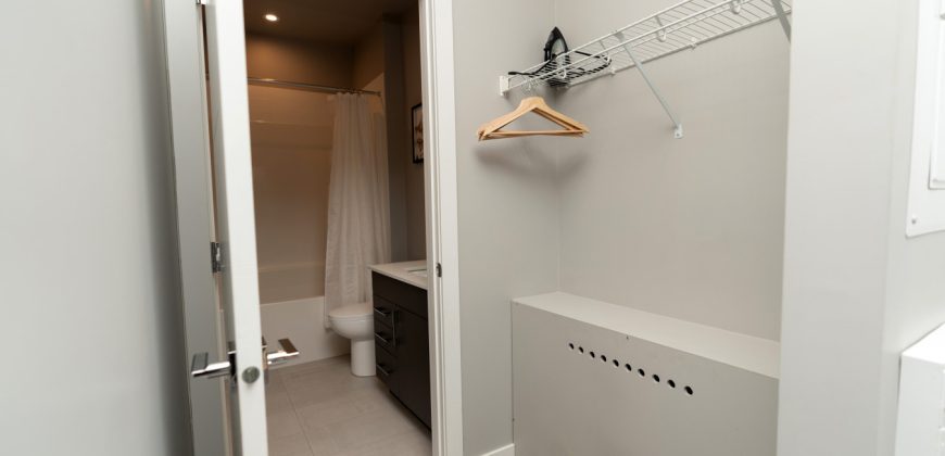 Edmonton 1 Bedroom Apartment Edmonton 1 Bedroom Apartment