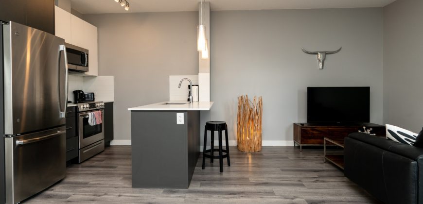 Edmonton 1 Bedroom Apartment Edmonton 1 Bedroom Apartment