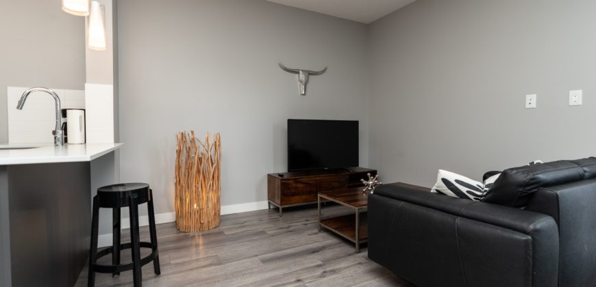 Edmonton 1 Bedroom Apartment Edmonton 1 Bedroom Apartment