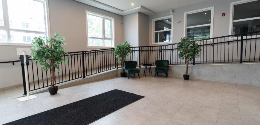 Edmonton 1 Bedroom Apartment Edmonton 1 Bedroom Apartment