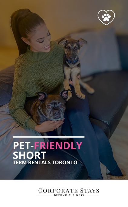Picture of Ultimate Pet-Friendly Short-Term Rentals Guide: Find, Book & Enjoy Your ...
