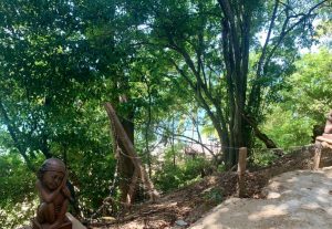 Screen Shot 2020 07 17 at 10.21.23 AM 300x207 1