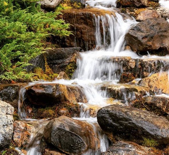 Screen Shot 2020 07 29 at 5.01.41 PM