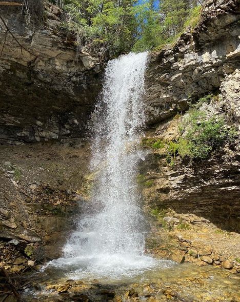 Screen Shot 2020 07 29 at 5.32.17 PM