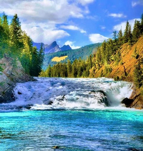 Screen Shot 2020 07 29 at 6.21.51 PM