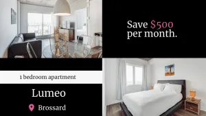 Alquiler de apartamentos ejecutivos