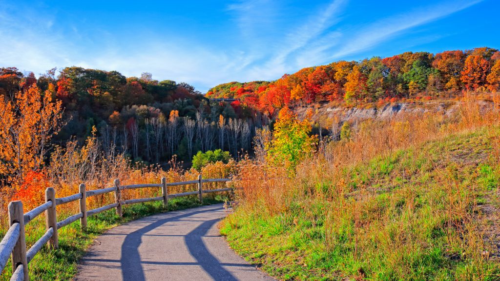 hike trail 1024x576 1